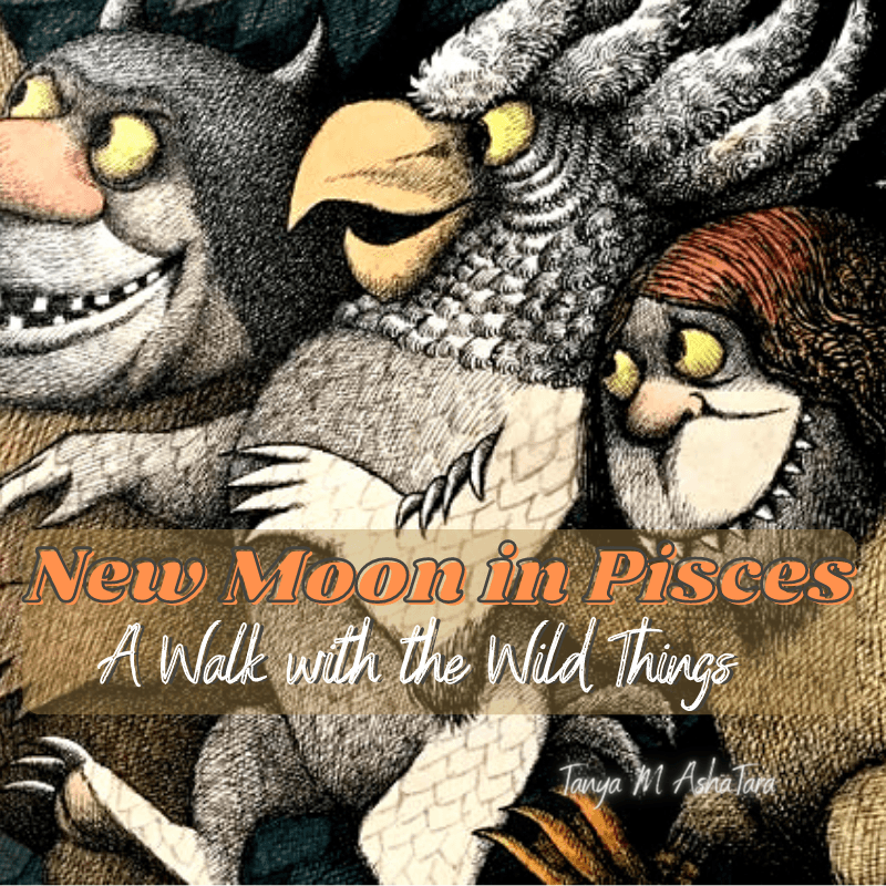 New Moon in Pisces - Take a Walk with the Wild Things - Grace - Sacred Space