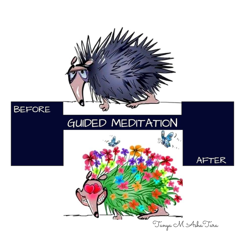 Guided Meditation - Syrup for your Soul