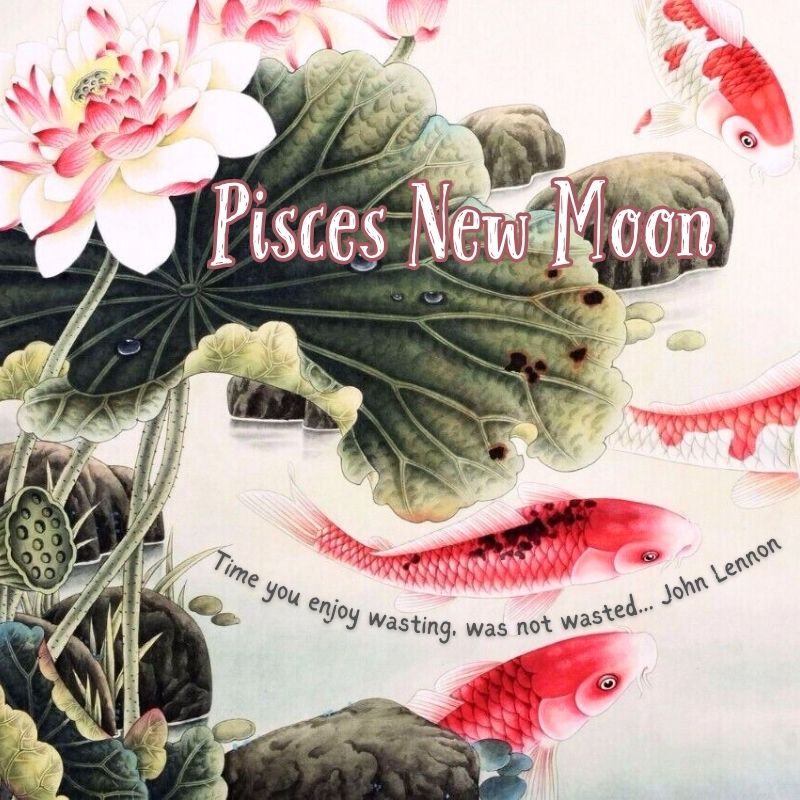 Pisces New Moon